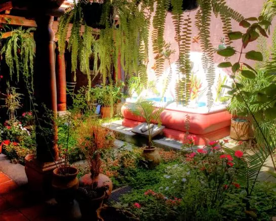 Fotos del hotel Euromaya Suites:  3