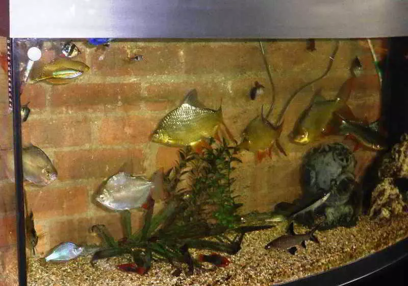 Fotos del hotel The Old Station House:  6