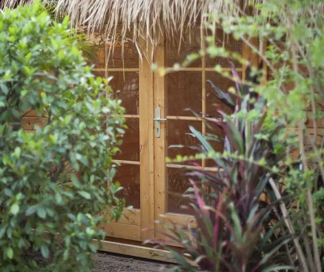 Fotos del hotel The Villa Paradiso:  16