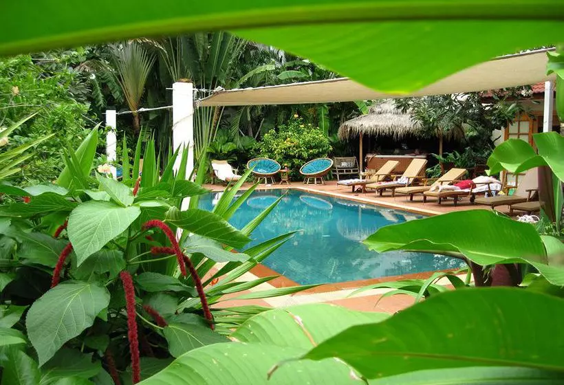 Fotos del hotel The Villa Paradiso:  9