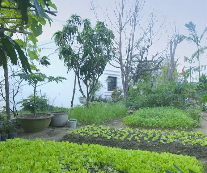 Fotos del hotel Muca Hoi An Boutique Resort & Spa:  18