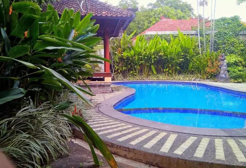 Fotos del hotel Paradiso Beach Inn:  8