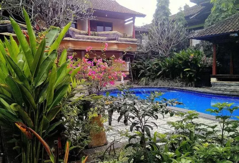 Fotos del hotel Paradiso Beach Inn:  15