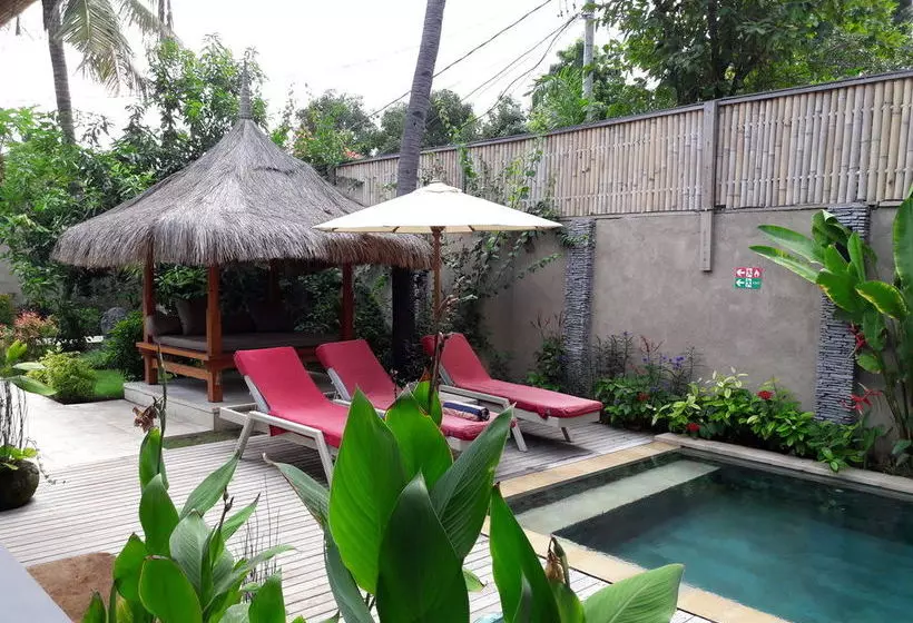 Fotos del hotel Scallywags Gili Air:  9