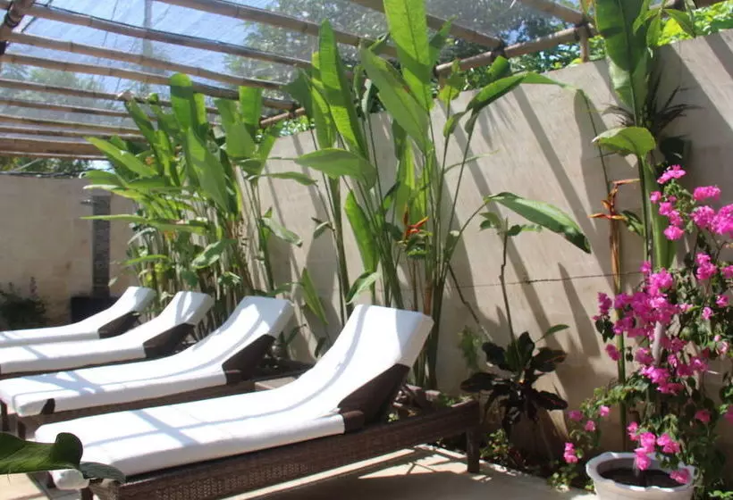 Fotos del hotel Scallywags Gili Air:  5