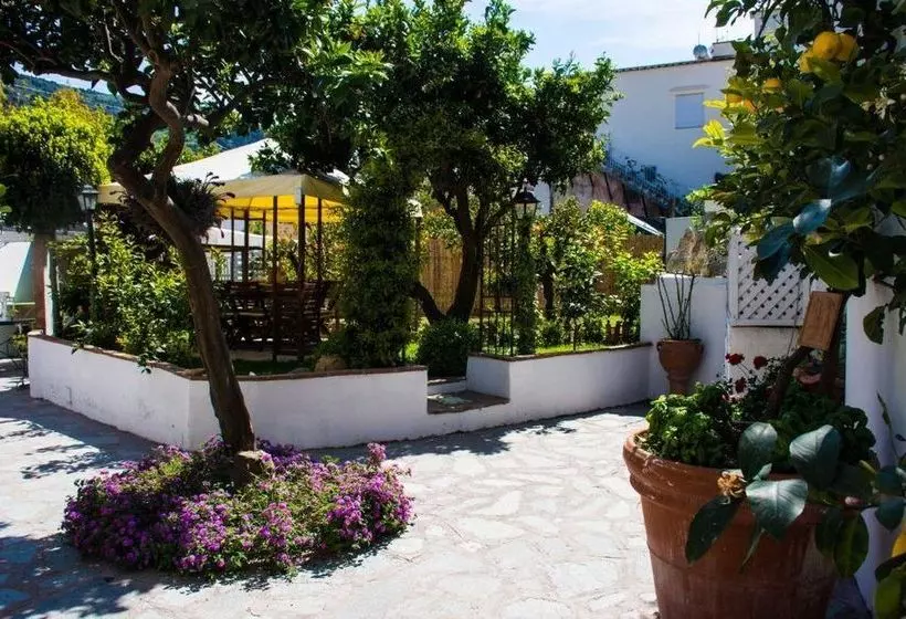 Fotos del hotel La Limonaia:  15