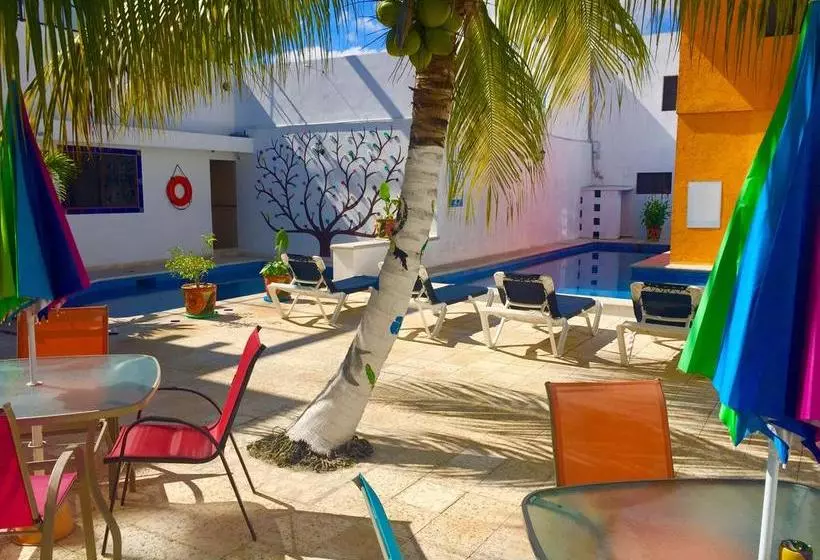 Fotos del hotel Mexicasa Cancun  Boutique:  3