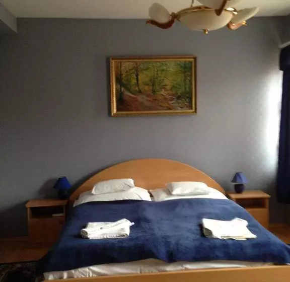 Fotos del hotel Arany Trófea:  12