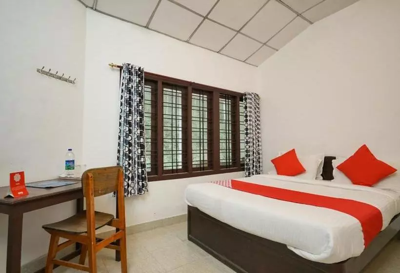 Fotos del hotel Oyo 7116 Home Stay Winter Castle:  4