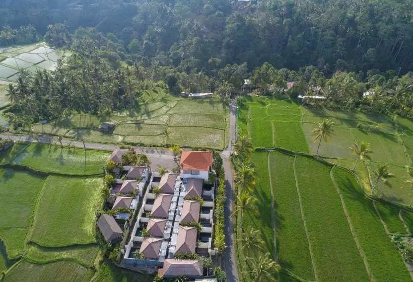 Fotos del hotel Amatara Abirama Villas:  6