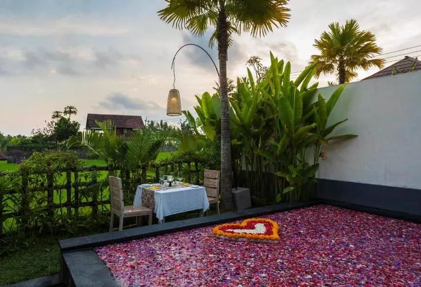 Fotos del hotel Amatara Abirama Villas:  5