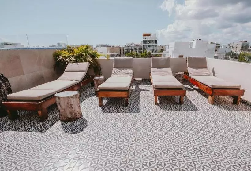 Fotos del hotel Kalma Casa Mora:  4