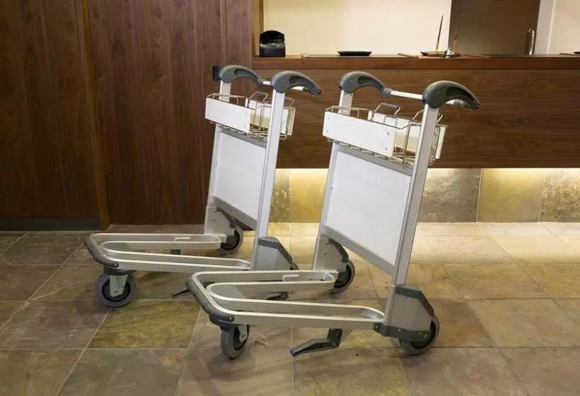 Fotos del hotel Dorf Kawaramachi Nijo:  16