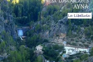 Casa Rural La Libelula Ayna - Ayna