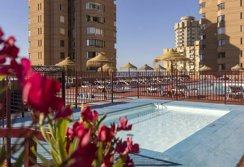 Fotos del hotel Las Palmeras Affiliated by Fergus:  70