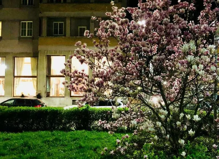 Fotos del hotel Národný Dom:  5