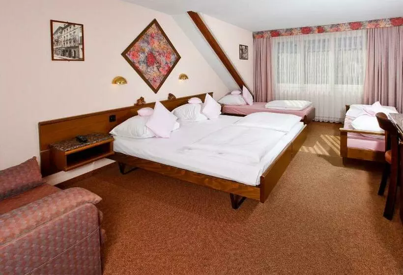 Fotos del hotel Baslertor Summer Pool:  9