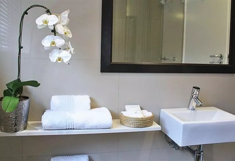 Fotos del hotel Ambassador Hotel:  8