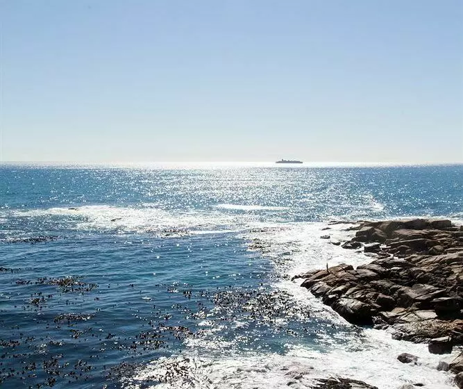 Fotos del hotel Ambassador Hotel:  20