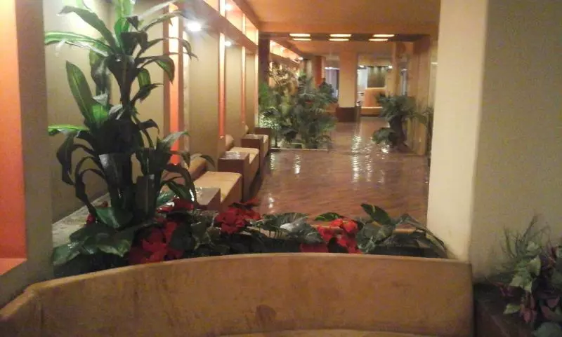 Fotos del hotel Atlas Zamalek:  3