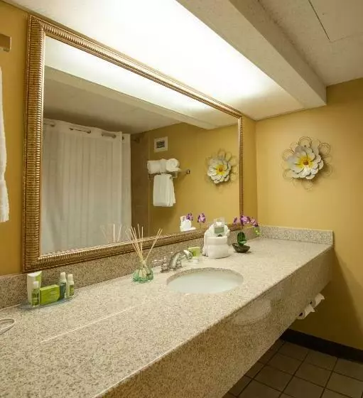 Fotos del hotel Mcm Elegante Hotel & Suites Dallas:  8