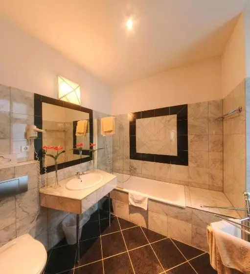 Fotos del hotel Carlton Opera:  9