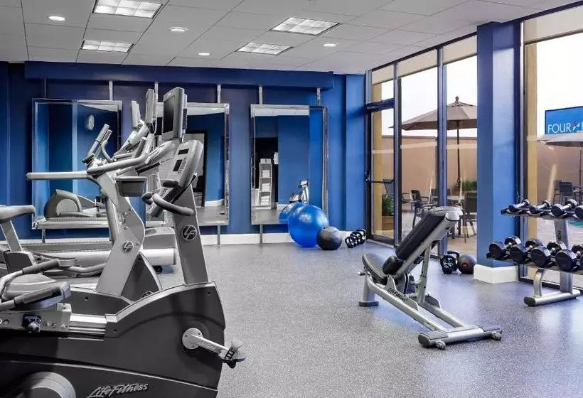 Fotos del hotel Four Points By Sheraton Houston Greenway Plaza:  5