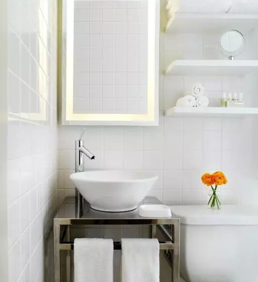 Fotos del hotel Hudson New York:  3