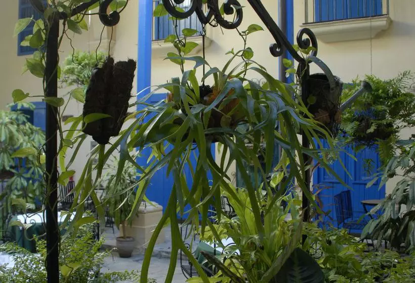 Fotos del hotel Beltrán de Santa Cruz:  5