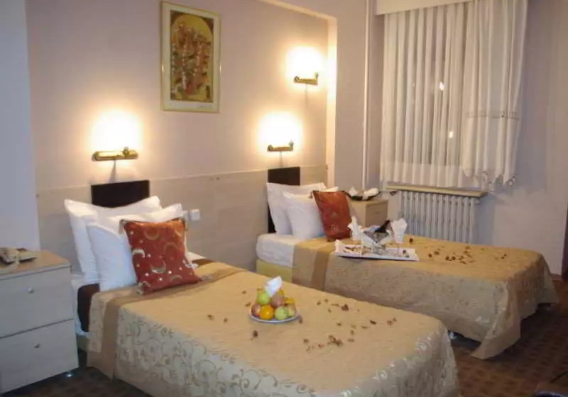 Fotos del hotel Petrol Palace:  3