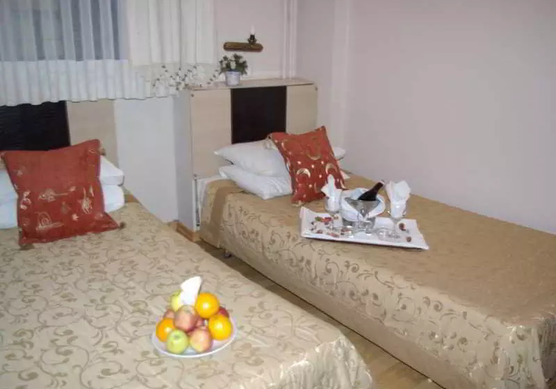 Fotos del hotel Petrol Palace:  6