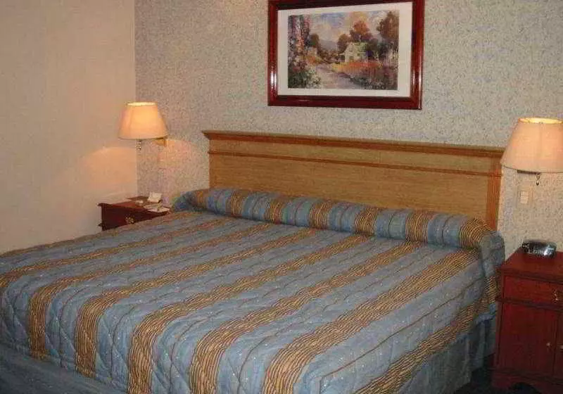 Fotos del hotel Torres Lindavista:  6