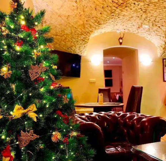 Fotos del hotel Tilto:  15