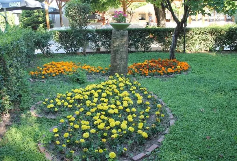 Fotos del hotel Club Turkuaz Garden  Adult Only:  11