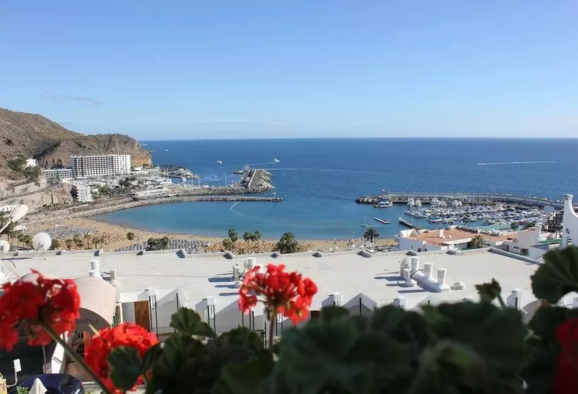 Fotos del hotel Apartamentos Gelimar:  7