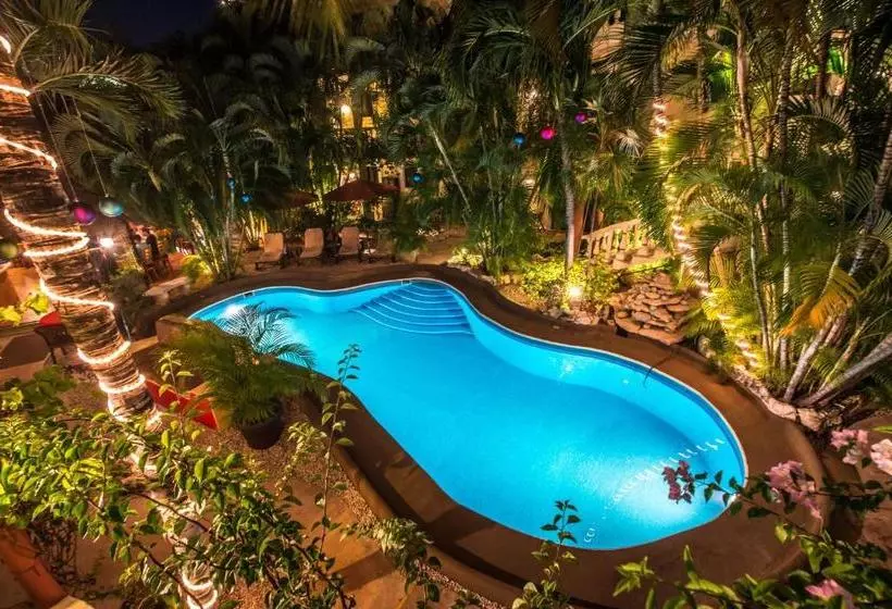 Fotos del hotel Aventura Mexicana:  11