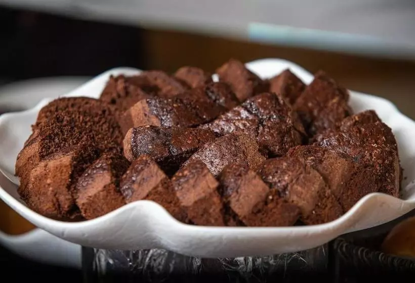 Fotos del hotel Iguassu Holiday:  15