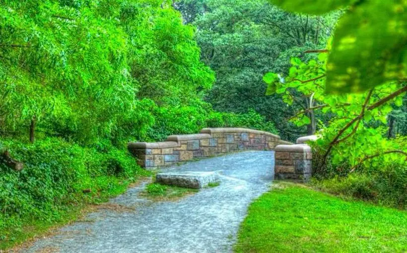 Fotos del hotel Envision  Bostonlongwood, Ascend  Collection:  15