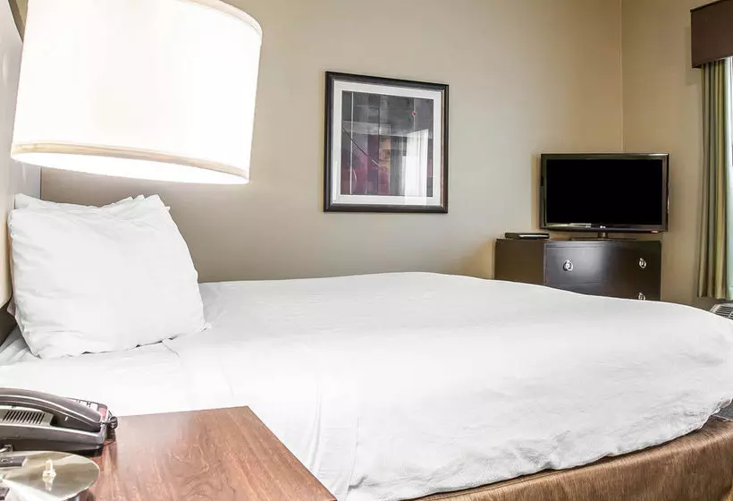 Envision  Bostonlongwood, Ascend  Collection