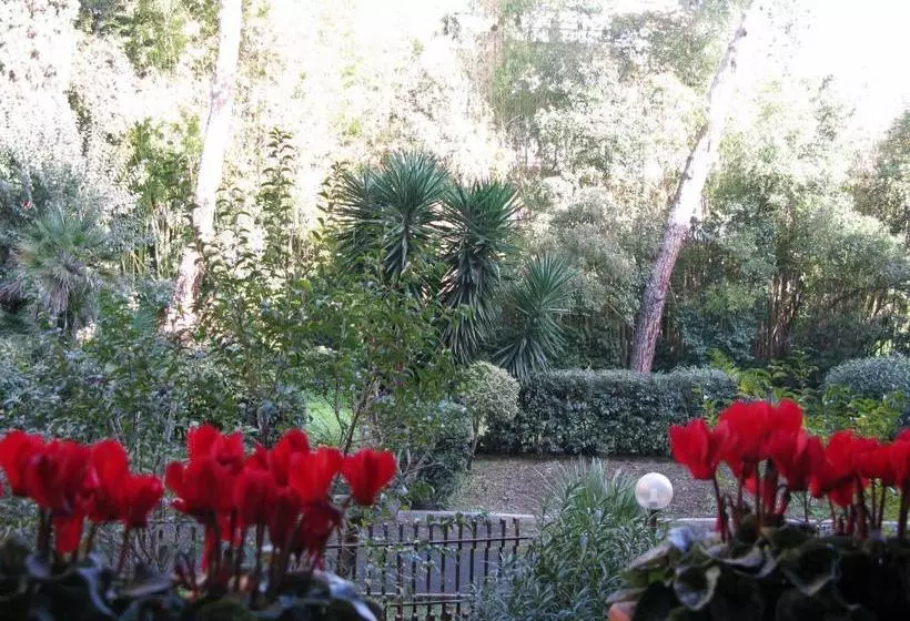 Fotos del hotel York:  6