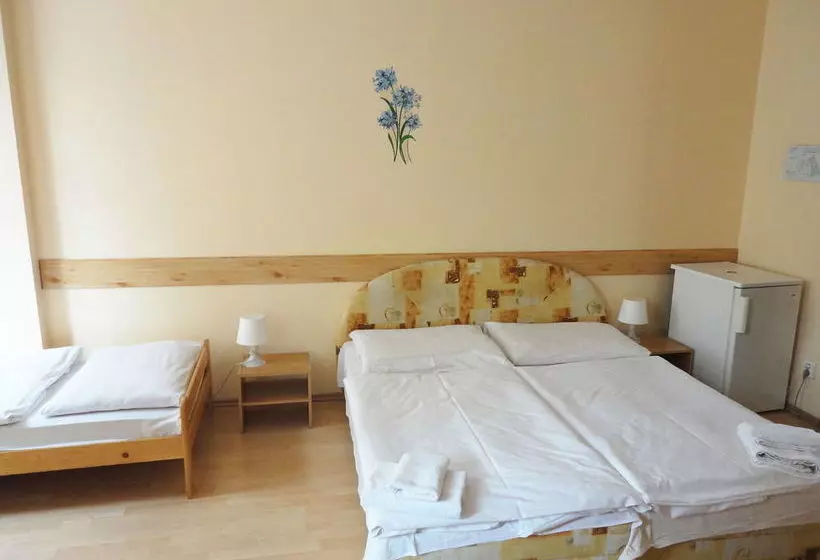 Fotos del hotel Jizera Karlovy Vary:  18