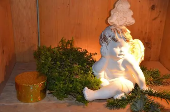 Fotos del hotel Laerchenhof:  5