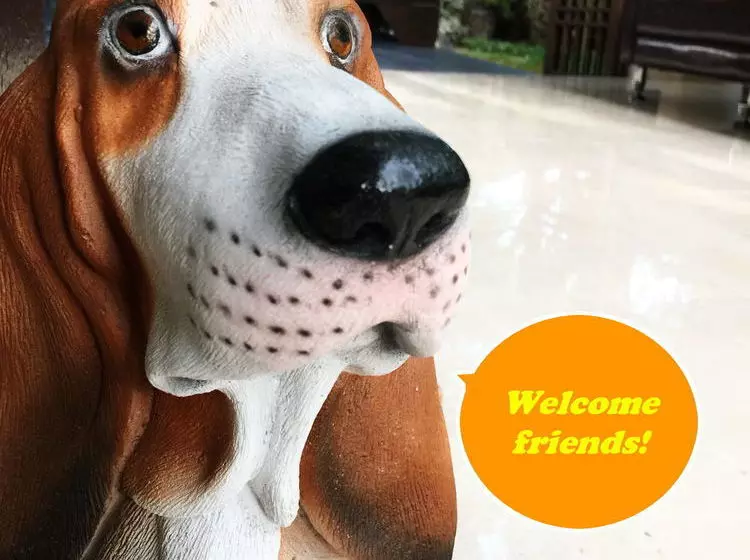 Fotos del hotel 3b Boutique:  9