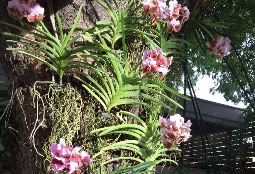 Fotos del hotel 3b Boutique:  4