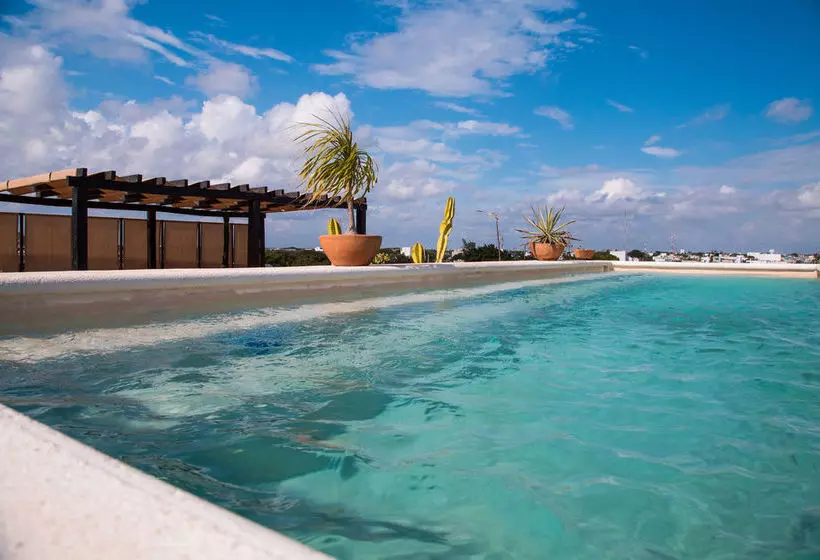 Fotos del hotel La Galeria By Bunik:  10