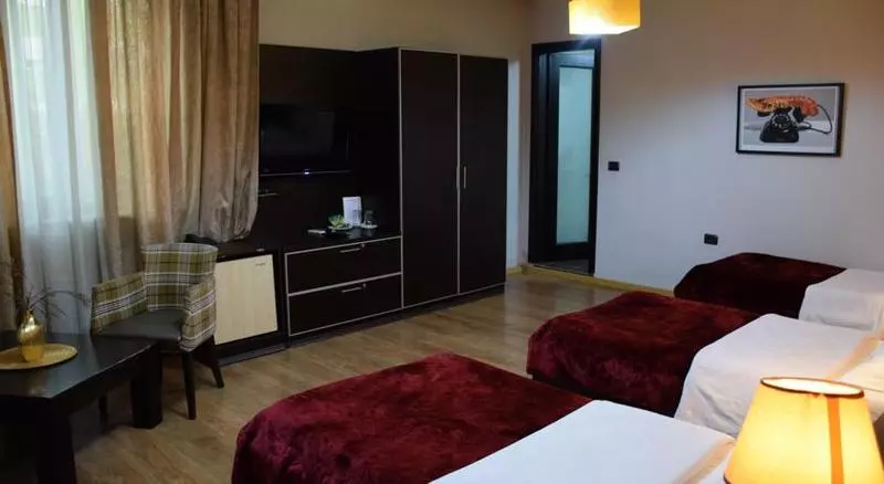 Fotos del hotel Eagle Tirana:  15