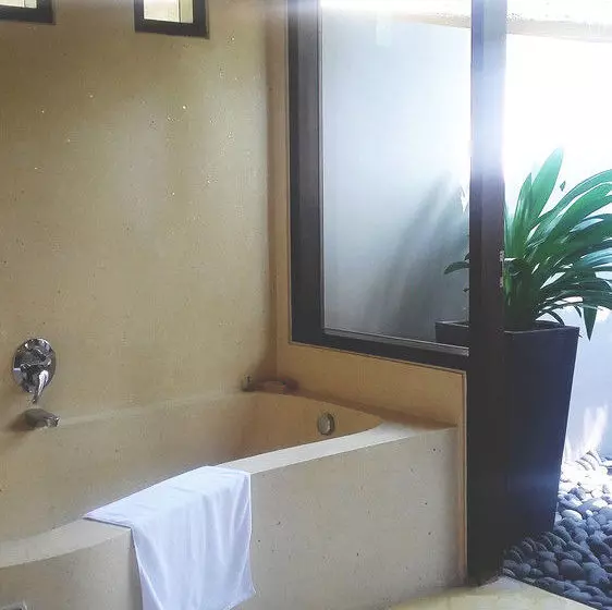 Fotos del hotel Villa Sasoon:  6