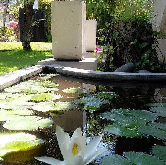 Fotos del hotel Villa Sasoon:  7