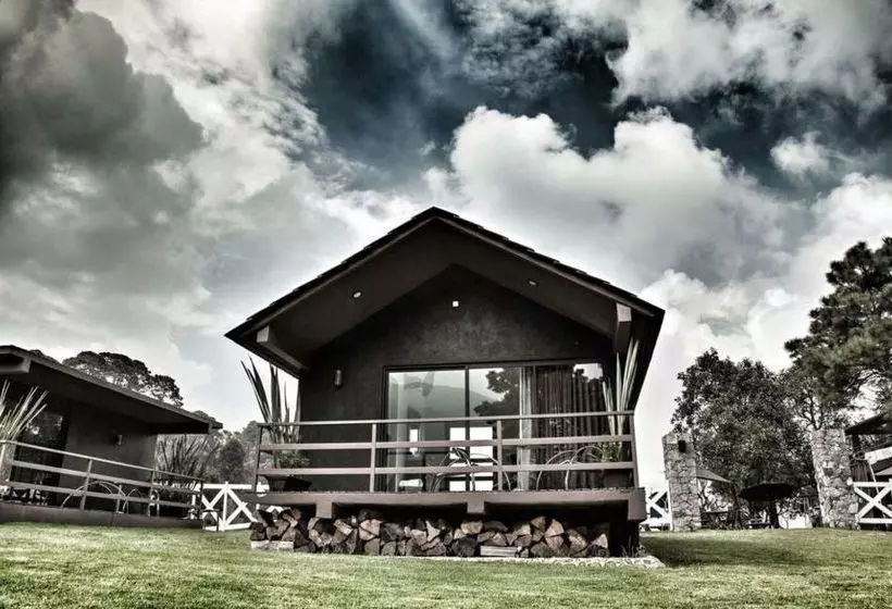 Fotos del hotel Organico Hotel Boutique:  7