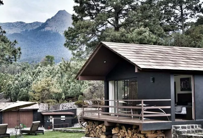 Fotos del hotel Organico Hotel Boutique:  10